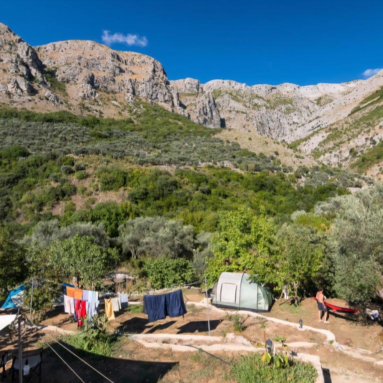 My Olive Garden Camp - Šator - 11