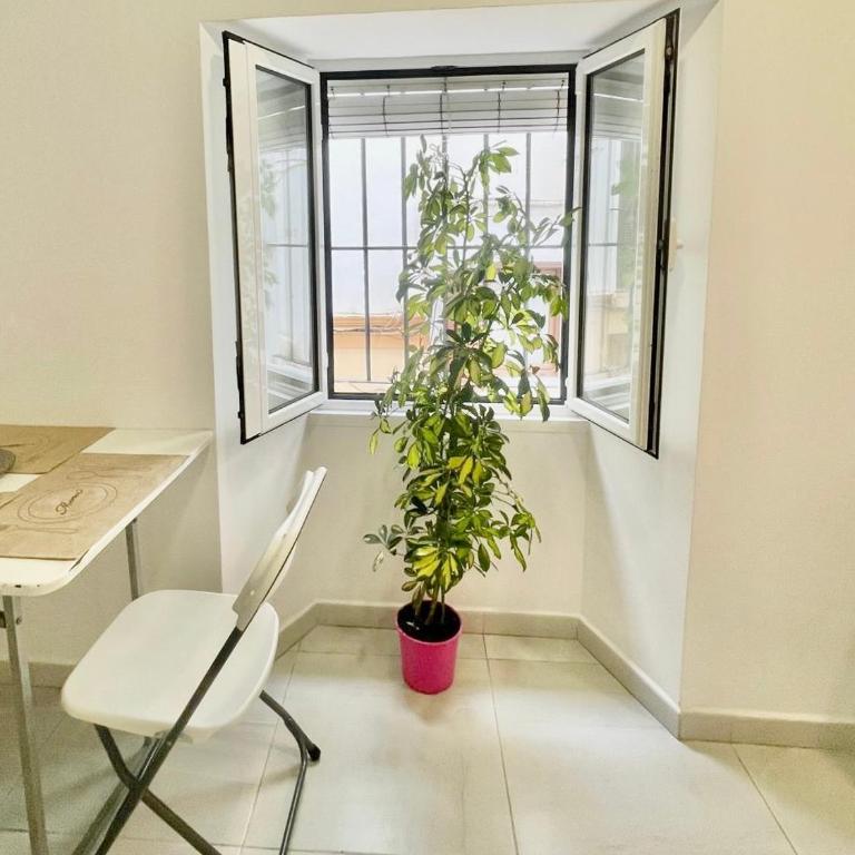 Mar de Tarifa - One-Bedroom Apartment - 8