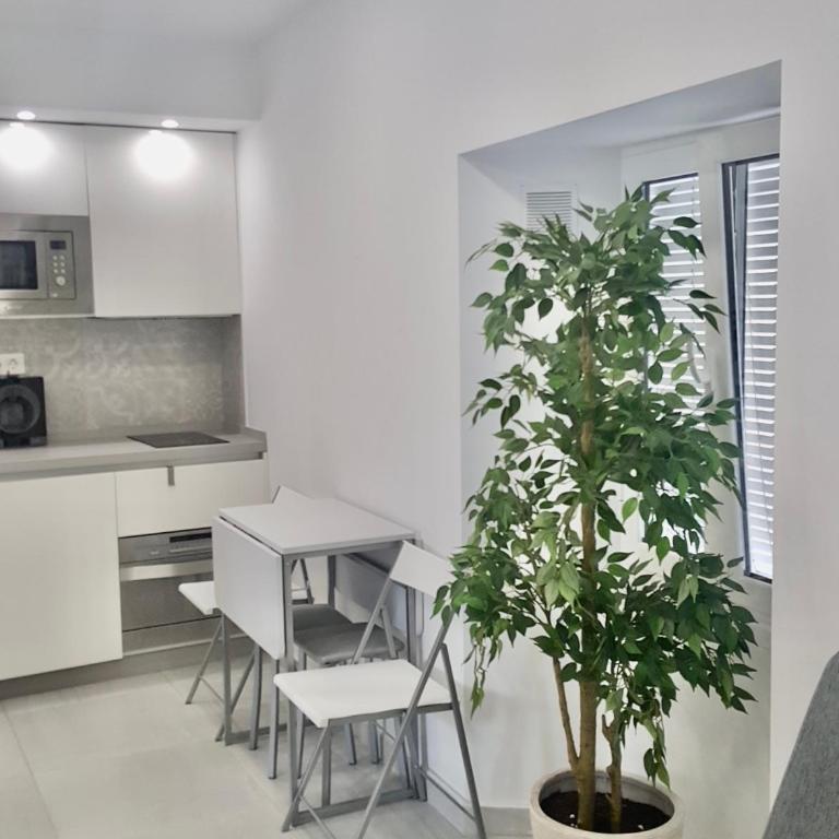 Mar de Tarifa - One-Bedroom Apartment - 14