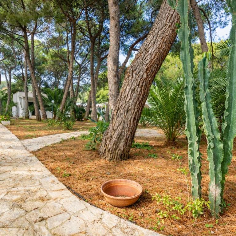 Appartamento Iremar B1 - MyHo Casa - Appartamento con 1 Camera da Letto - 10