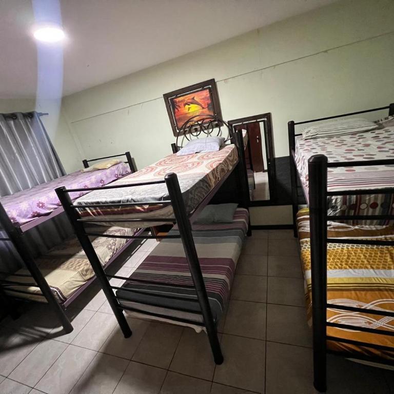 Ibiza Hostel Suites - Habitación compartida femenina - 6 camas - 1