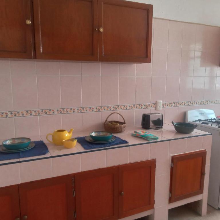 Big comfy apartment oaxaca city early check in - Apartamento de 2 dormitorios - 2