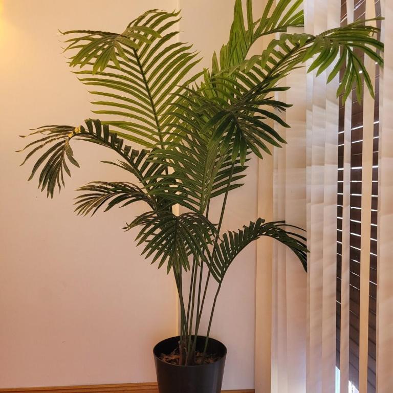Magnífico duplex 8 huéspedes Palermo - Villa Crespo - Apartamento - 23