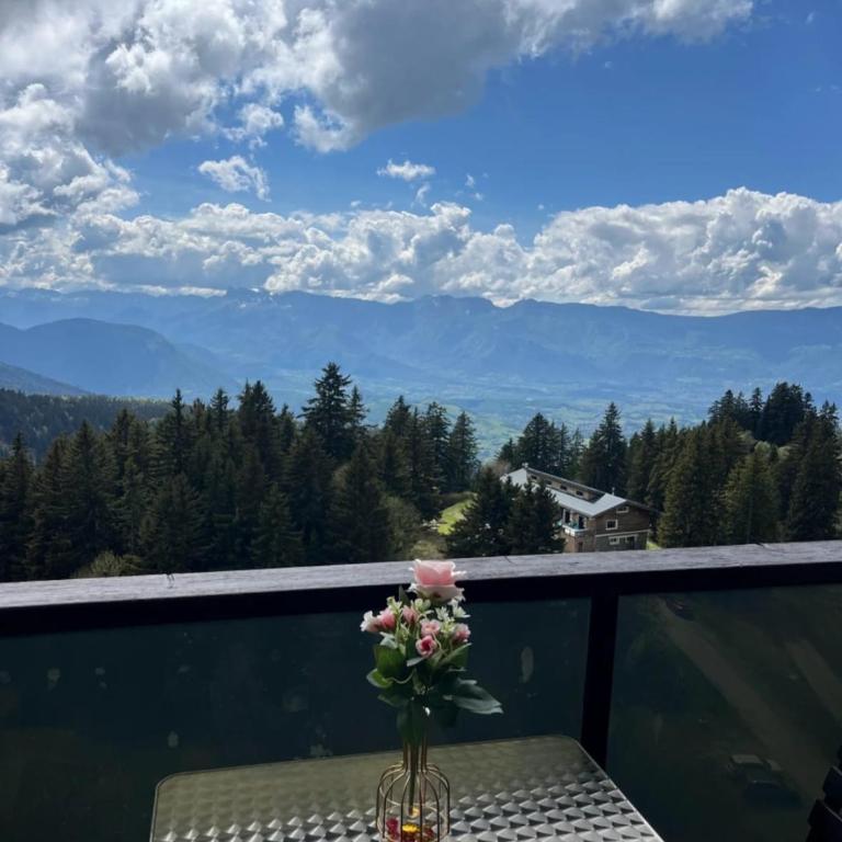 Studio cozy avec vue panoramique sur les montagnes - Appartamento con 1 Camera da Letto - 13