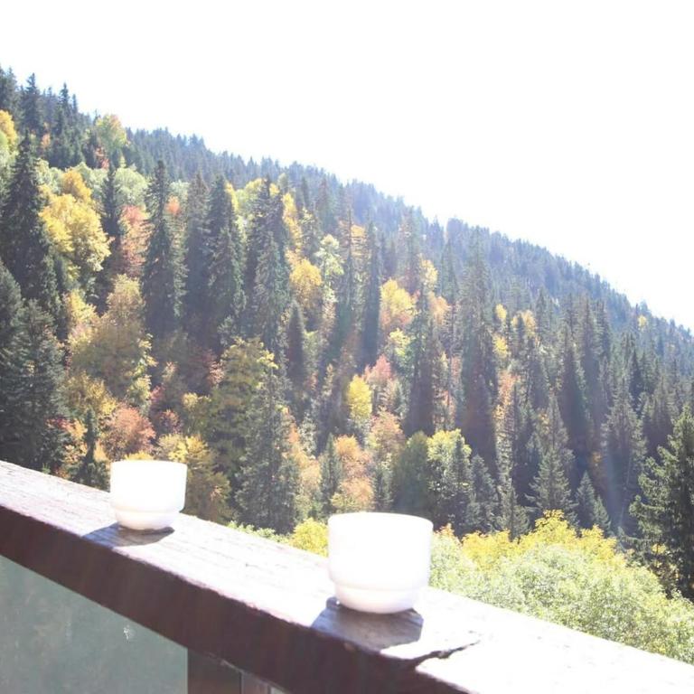 Studio cozy avec vue panoramique sur les montagnes - Appartamento con 1 Camera da Letto - 16