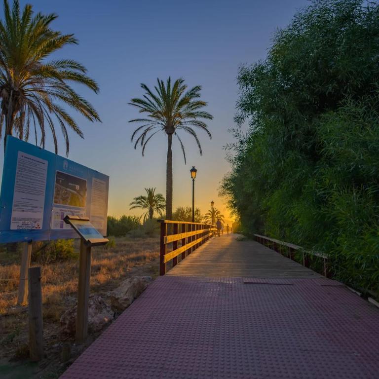 Luxurious 3-Bedroom Penthouse in Los Monteros Marbella - Apartamento - 56