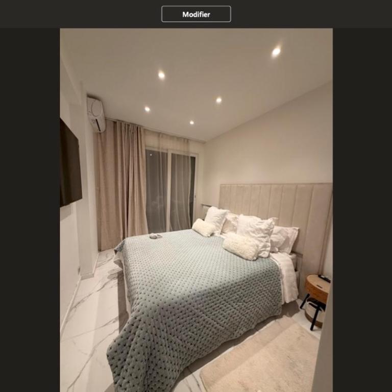 Promenade des anglais 20 mètres - Appartement 1 Chambre - 13