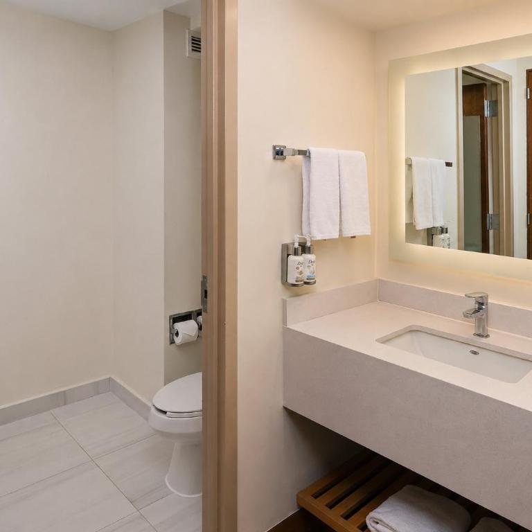 Holiday Inn Express - Monterrey - Tecnologico by IHG - Habitación Estándar - 7