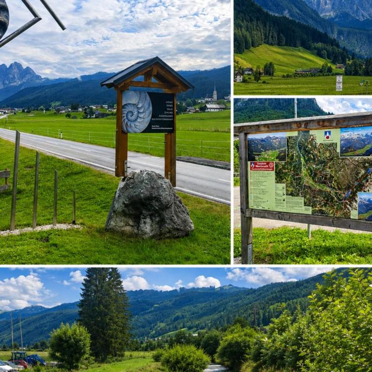 Forest Apartment Gosau - One-Bedroom Apartment - 44