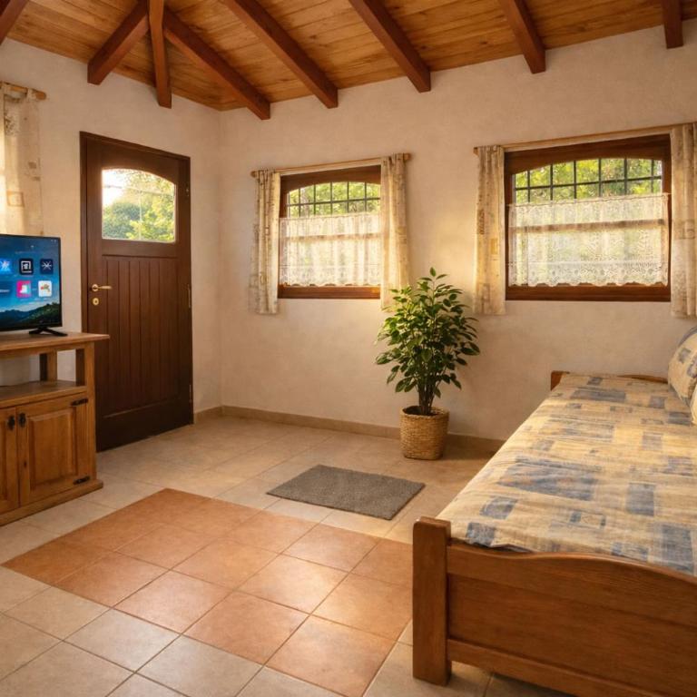 Blumenau Apart Hotel - Apartamento Loft de 1 dormitorio - 6