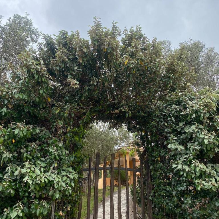 Casa Pina - Three-Bedroom Home - 2