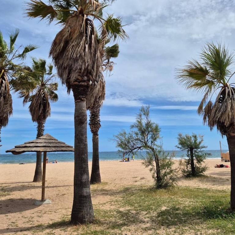Appartement 2 pièces avec terrasse et garage proche plage et port - Appartamento con 1 Camera da Letto - 35