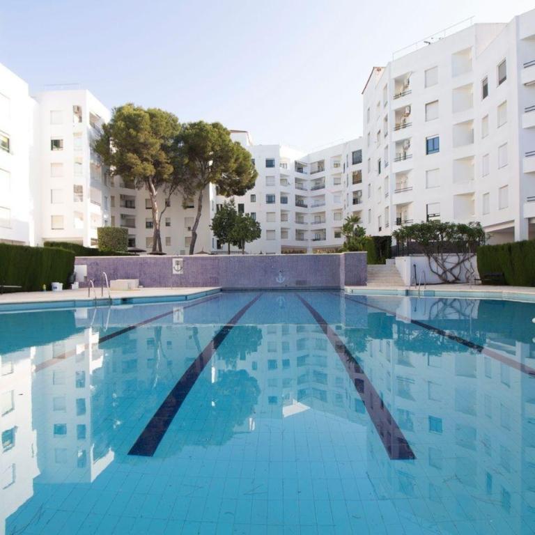 4BR Apartment SunnyDays - Apartamento - 8