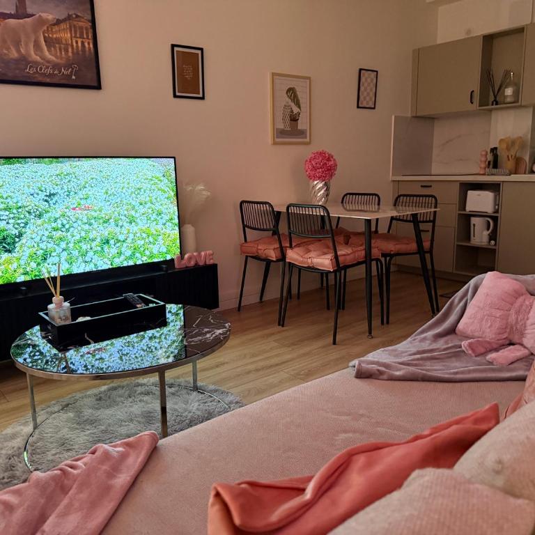 Cocon rénové près du tram - Appartement 1 Chambre - 22