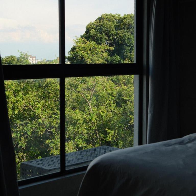Céntrico y acogedor aparta estudio - Apartamento con vistas - 15