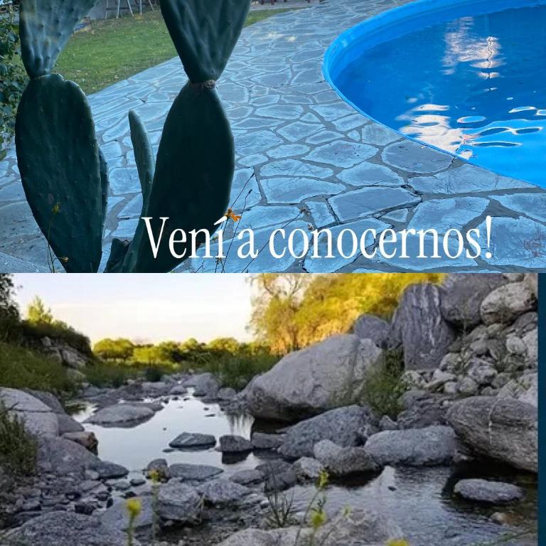 Carumel - Apartamento de 1 dormitorio - 4