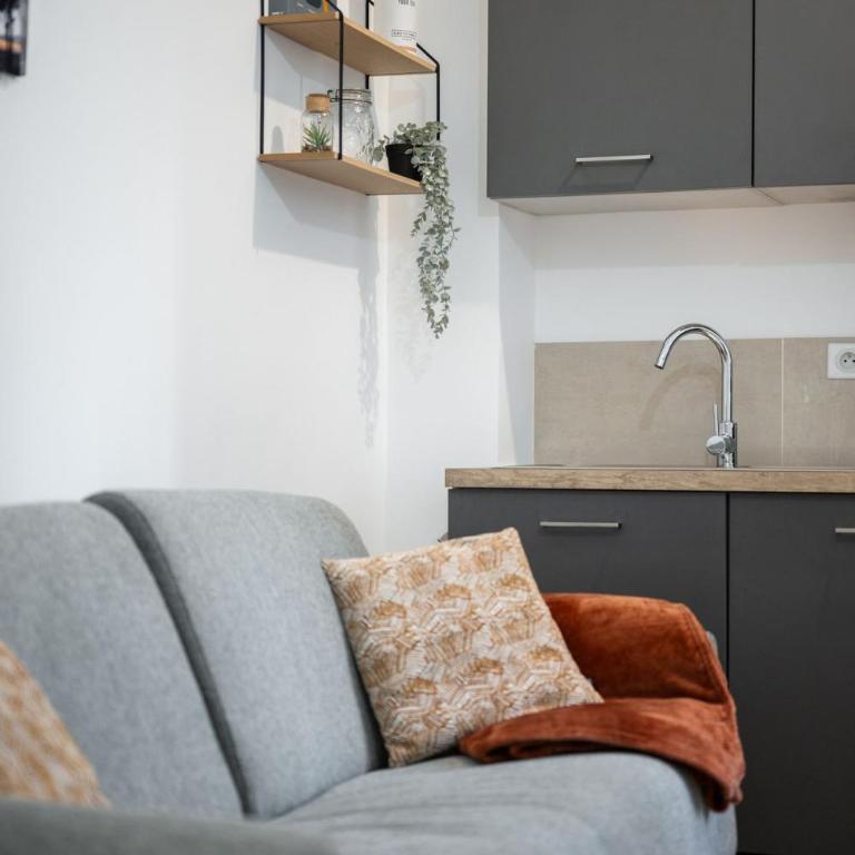 Charming 2 rooms, sleeps 4 Nice center - Appartement 1 Chambre - 6