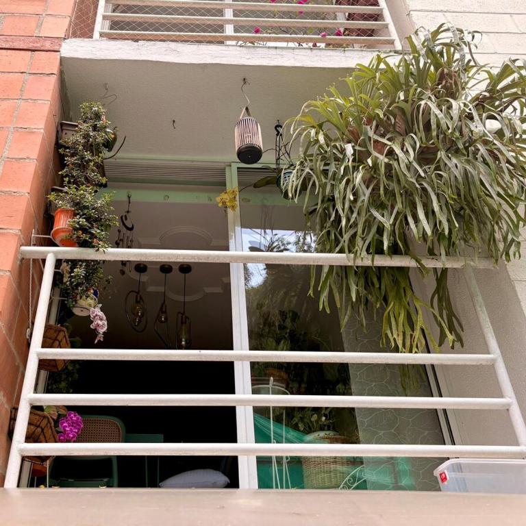 Peaceful nature retreat in green Envigado-2BR - Apartamento de 3 dormitorios - 22