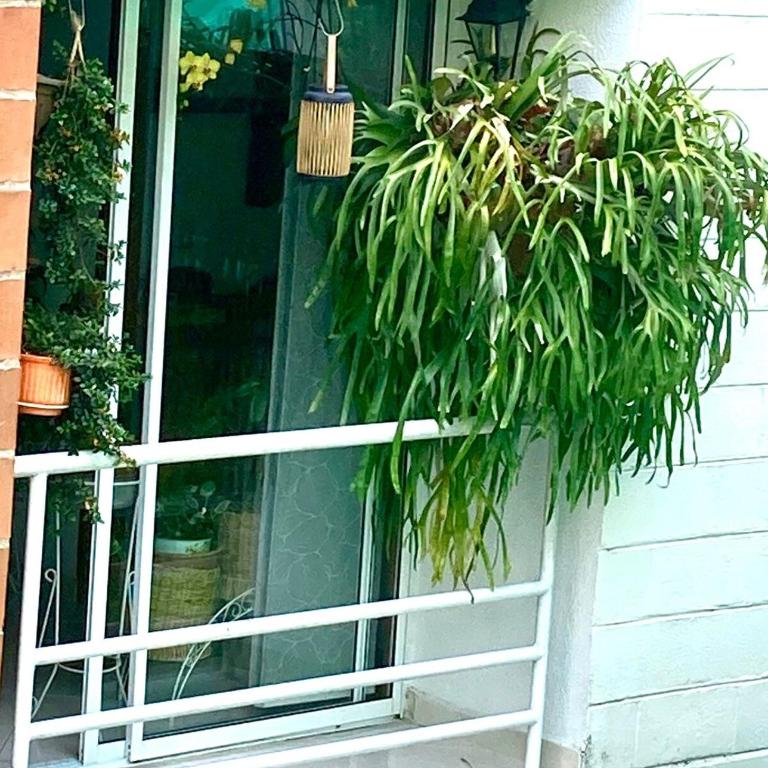 Peaceful nature retreat in green Envigado-2BR - Apartamento de 3 dormitorios - 25