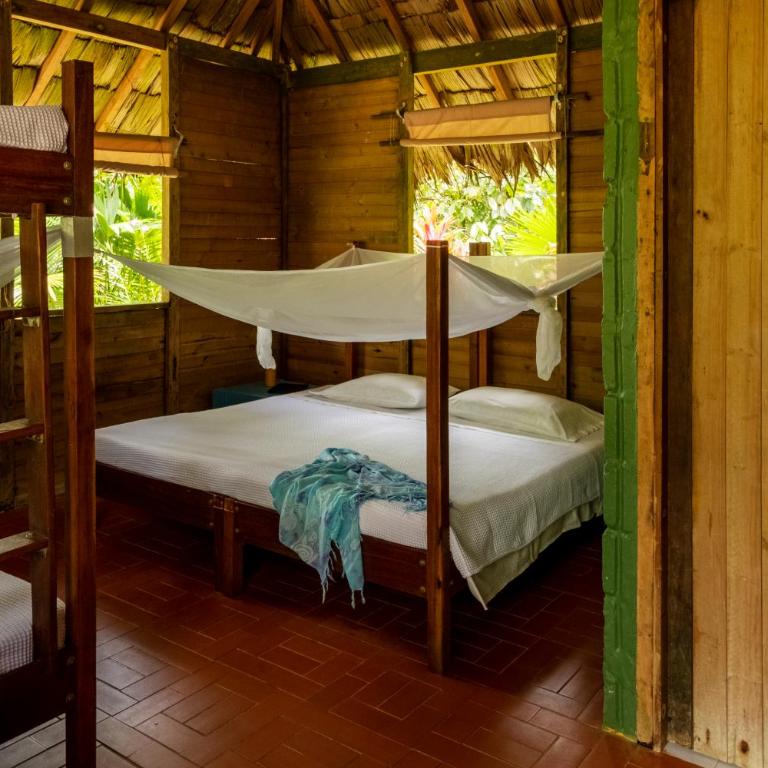 Hotel Pijibá Lodge - Habitación Cuádruple Estándar - 2