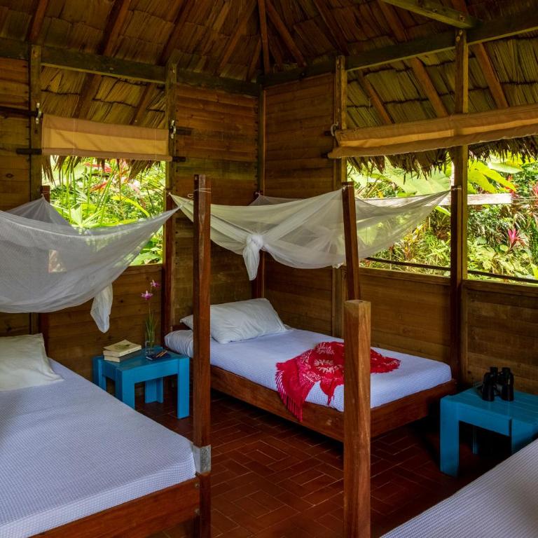 Hotel Pijibá Lodge - Habitación Cuádruple Estándar - 3