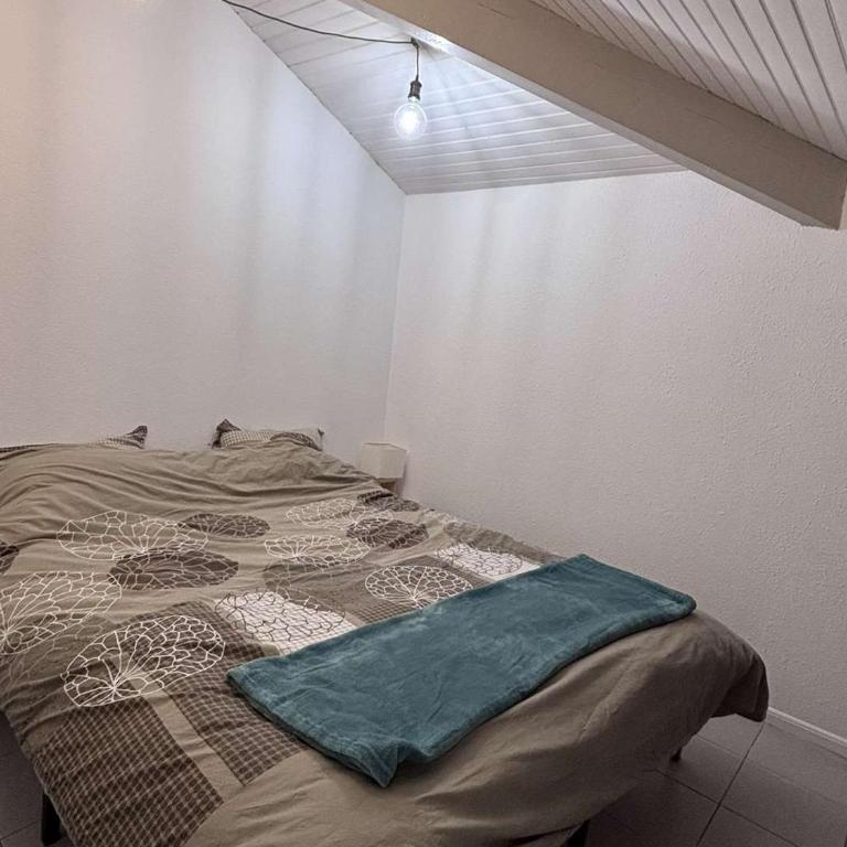 Appartement avec animaux - 4 pers. - FR-1-878-71 - Appartement - 6