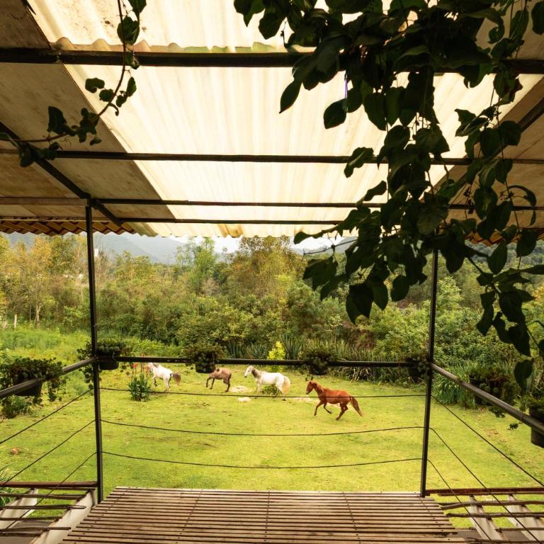 Rancho en Valle de Bravo - Habitación Doble con vistas al jardín - 5