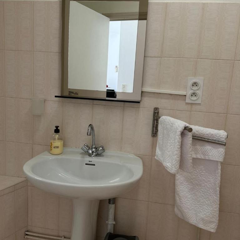 Appartement T2, 4 couchages avec Terrasse privée, tout proche de la cure thermale, centre-ville - Apartment mit 1 Schlafzimmer - 11