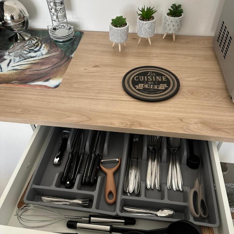 Appartement T2, 4 couchages avec Terrasse privée, tout proche de la cure thermale, centre-ville - Apartment mit 1 Schlafzimmer - 23