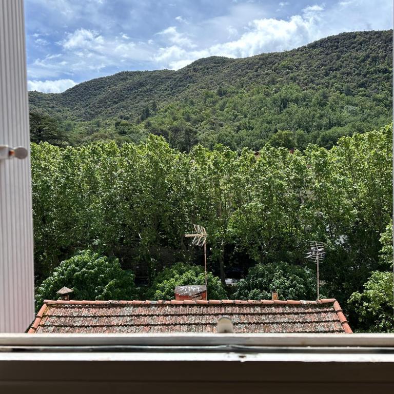 Appartement T2, 4 couchages avec Terrasse privée, tout proche de la cure thermale, centre-ville - Apartment mit 1 Schlafzimmer - 29