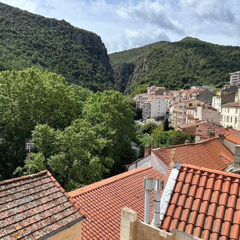 Appartement T2, 4 couchages avec Terrasse privée, tout proche de la cure thermale, centre-ville - Appartamento con 1 Camera da Letto - 8