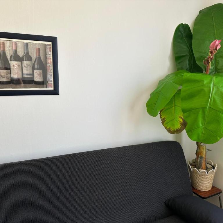 Appartement T2, 4 couchages avec Terrasse privée, tout proche de la cure thermale, centre-ville - Apartment mit 1 Schlafzimmer - 33