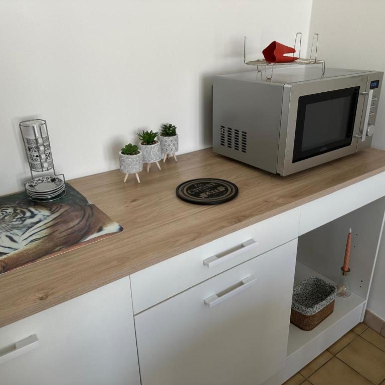Appartement T2, 4 couchages avec Terrasse privée, tout proche de la cure thermale, centre-ville - Apartment mit 1 Schlafzimmer - 20