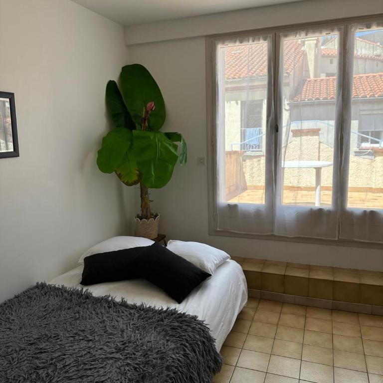 Appartement T2, 4 couchages avec Terrasse privée, tout proche de la cure thermale, centre-ville - Apartment mit 1 Schlafzimmer - 14