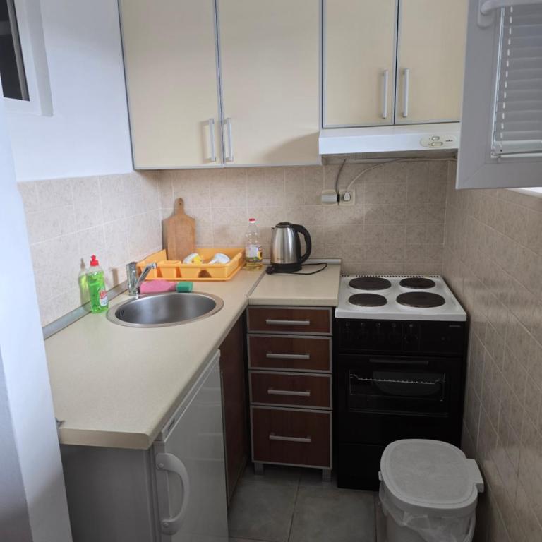 Apartman Karača - Apartman sa 1 Spavaćom Sobom - 4