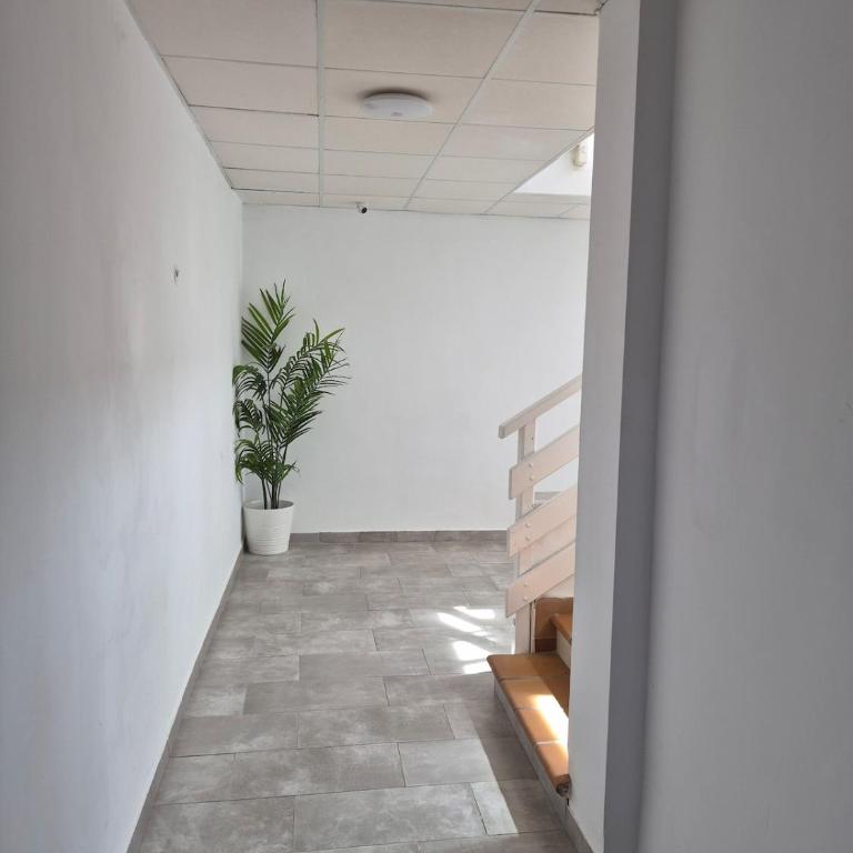 Hispalis playa de Barbate - Apartamento de 1 dormitorio - 5