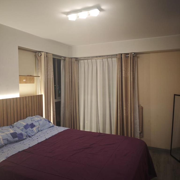 Casa linda - Apartamento de 1 dormitorio - 3