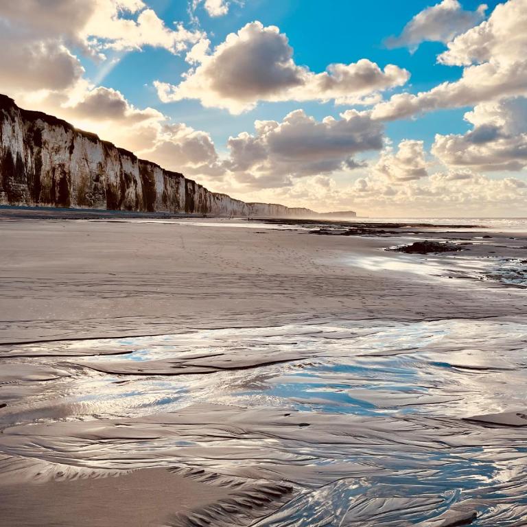 La Dunette - Splendide Vue port avec les bateaux BY HOLIDIEPPE - Studio - Vue sur Mer - 46