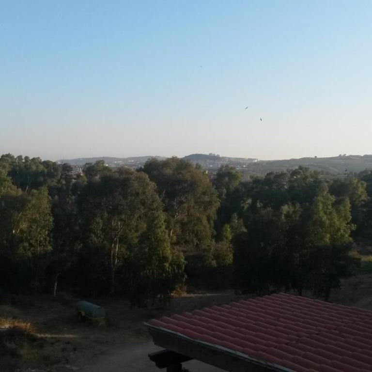 Planta baja cerca de la playa Casares Costa - Apartamento de 2 dormitorios - 35