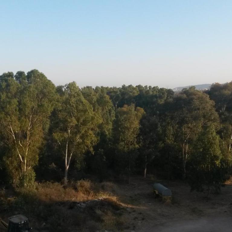 Planta baja cerca de la playa Casares Costa - Apartamento de 2 dormitorios - 33