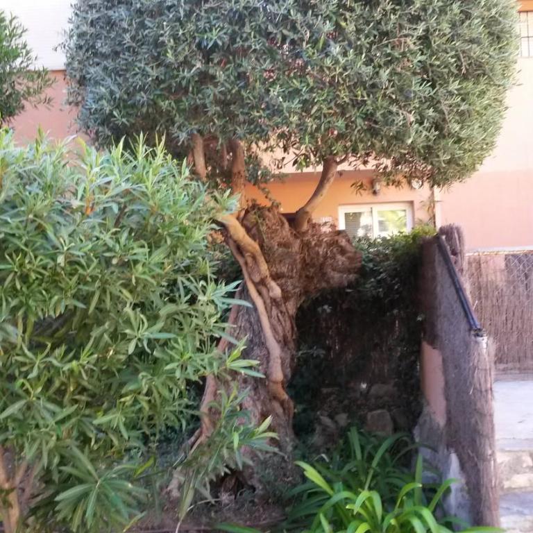 Planta baja cerca de la playa Casares Costa - Apartamento de 2 dormitorios - 38