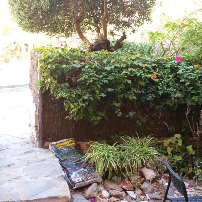 Planta baja cerca de la playa Casares Costa - Apartamento de 2 dormitorios - 42