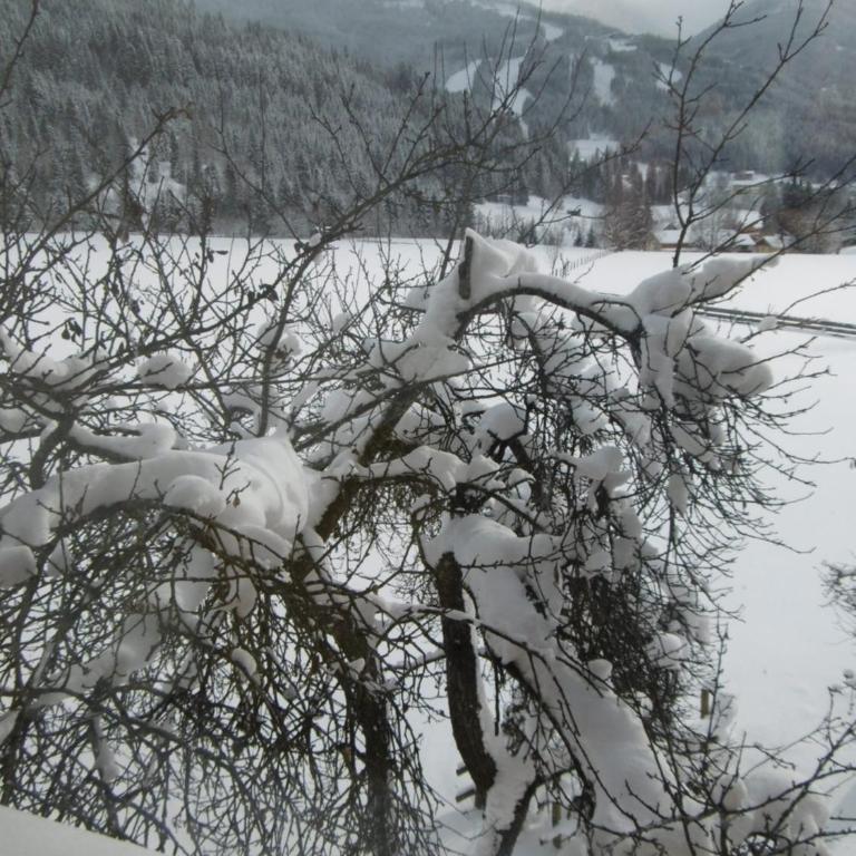 Appartements Oberhof - Apartment mit 2 Schlafzimmern und Balkon - Nebengebäude - 21