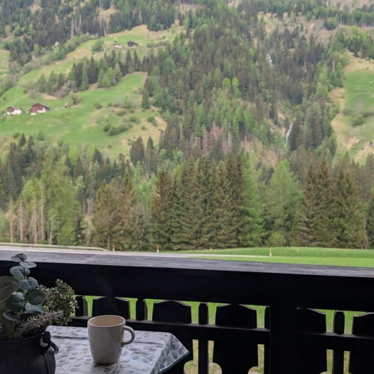 Ferienwohnung Gartlfallblick - Apartment mit Aussicht und Balkon - 11