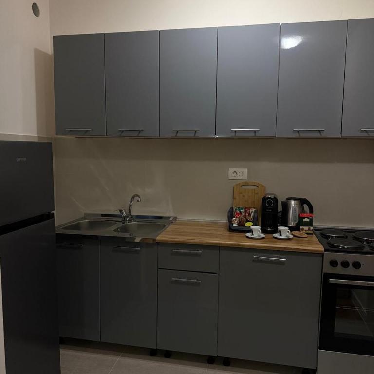 Central Park Apartment Podgorica - One-Bedroom Apartment - 6