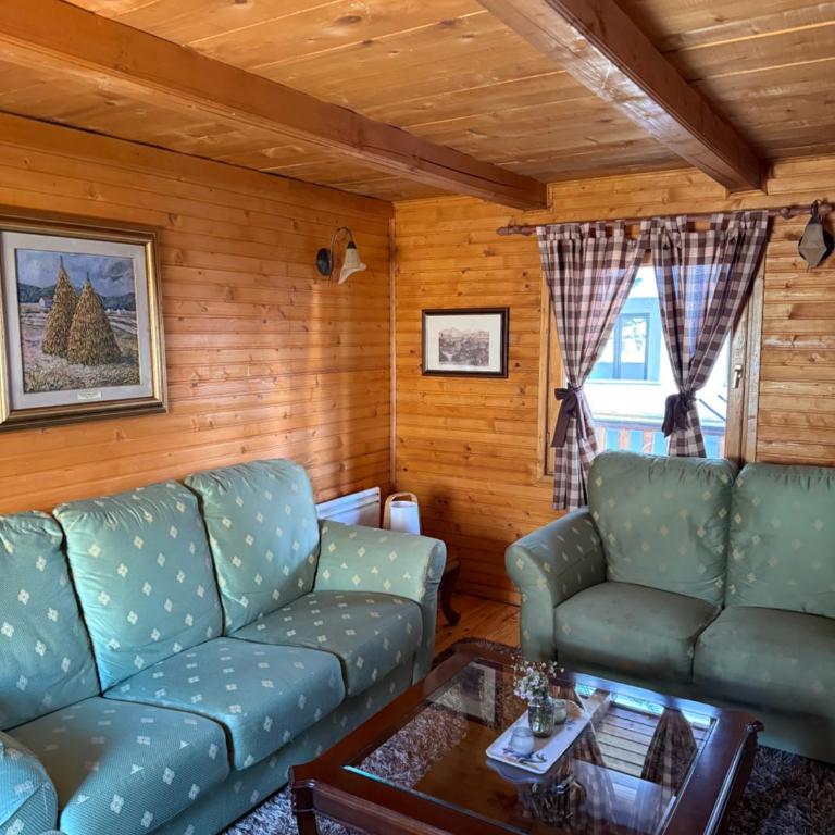 Vila Rosa Kolasin - Vikendica - 11