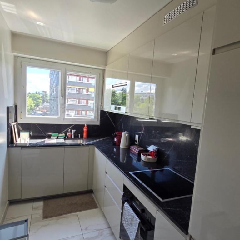 133 sqm 3 bedroom Apartment in Geneva - Appartement 3 Chambres avec Balcon - 9