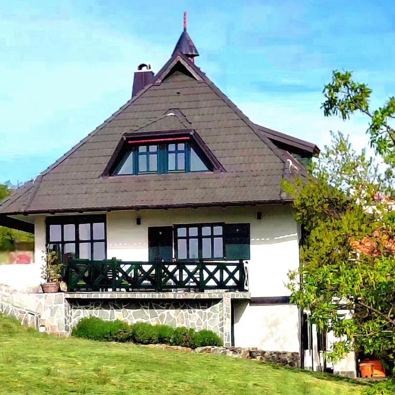 Casa Mila Zlatibor - Villa - 3