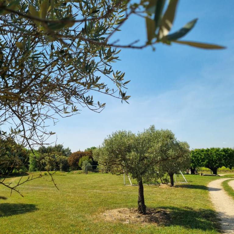 Maison au cœur d'un domaine viticole en Provence - Maison de Vacances - 43