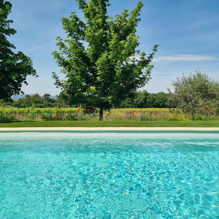Maison au cœur d'un domaine viticole en Provence - Maison de Vacances - 46